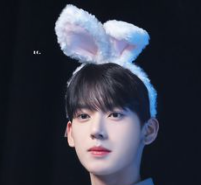 うさ耳カチューシャを付けた人物の上半身写真