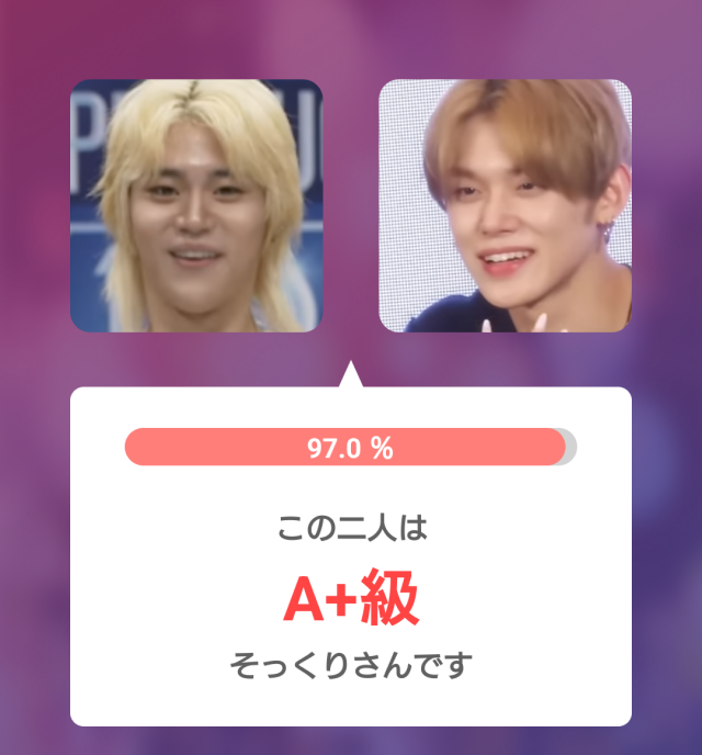 チェン・リッキーとヨンジュンの顔比較でそっくり度97.0％