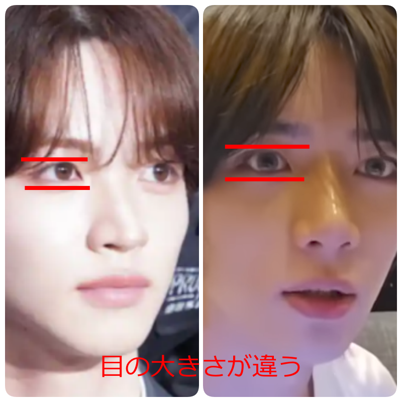 2人の顔写真を並べ、赤い補助線で目の大きさや横幅の違いを比較した画像。下部に「目の大きさが違う」と赤字で表示されている。