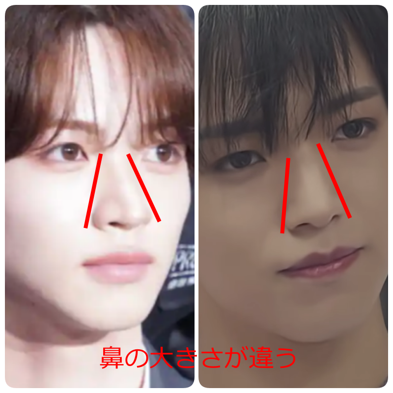 2人の顔写真を並べ、赤い補助線で鼻の大きさや幅の違いを比較した画像。下部に「鼻の大きさが違う」と赤字で表示されている。